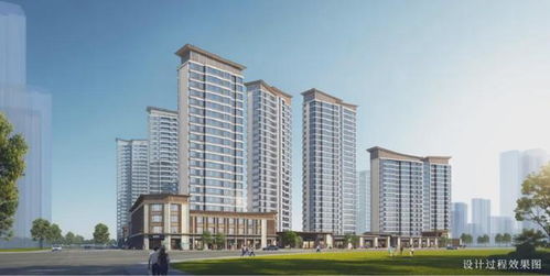 建发房产“诗意东方”产品线震撼发布，漳州首秀即引爆市场