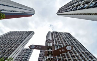 租房党福音！个人所得税APP更新，住房租金抵扣告别“房东焦虑”